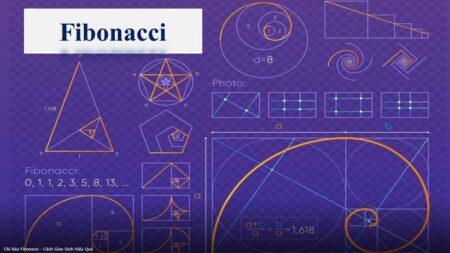 dãy số Fibonacci là gì