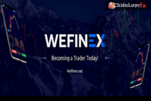 Wefinex là gì
