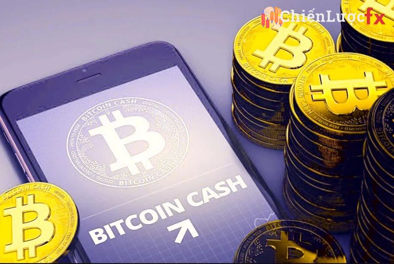 Tiền điện tử Bitcoin Cash là gì, năm 2023 có nên đầu tư vào BCH hay không?
