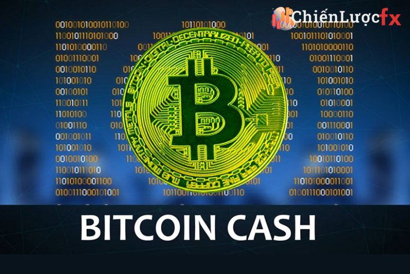 Bitcoin Cash - Mã coin đầy tiềm năng khai thác