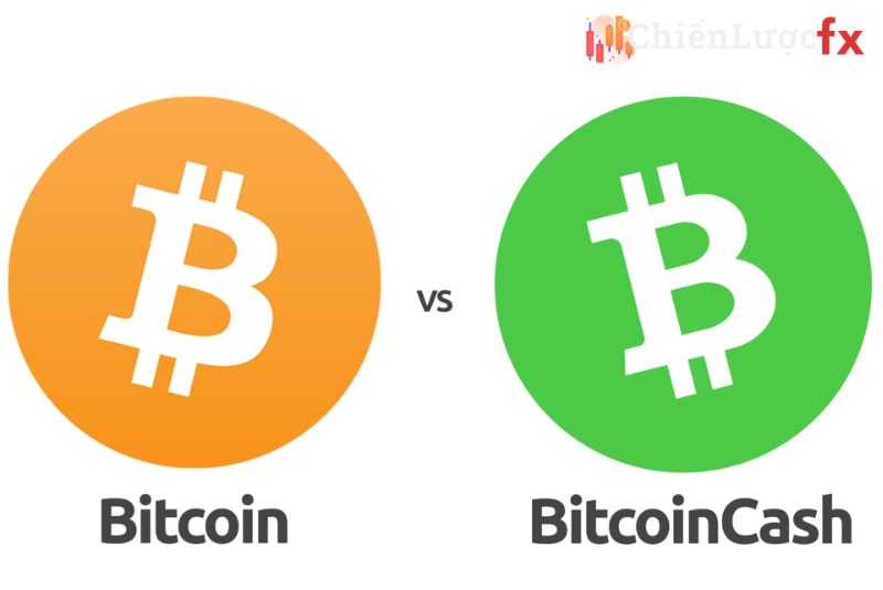Đặc điểm giống và khác nhau của Bitcoin và tiền điện tử Bitcoin Cash là gì?