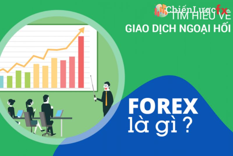 Thuật ngữ đầu tư Forex Trading là gì?