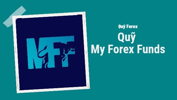 Kinh nghiệm trade quỹ MFF